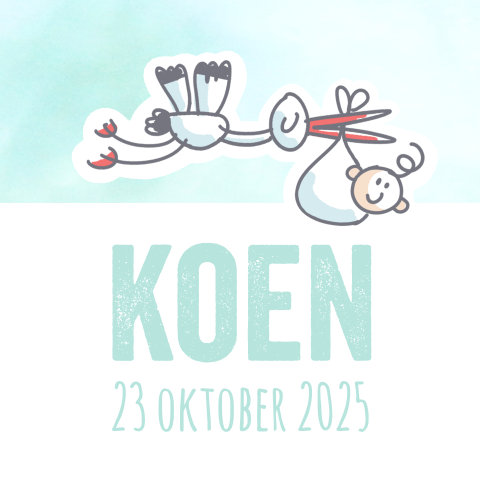 Lief geboortekaartje vliegende ooievaar met jongetje