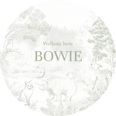 Raamsticker rond groen met getekende bosdieren