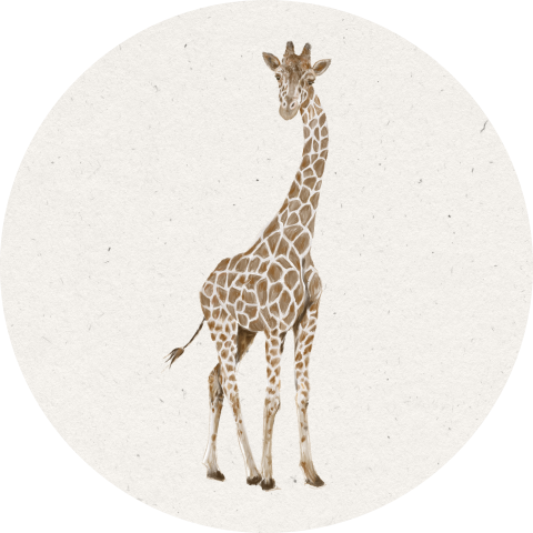 Sluitsticker met illustratie van giraf