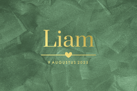 Stoer geboortekaartje voor een jongen met goudfolie in velvet-look