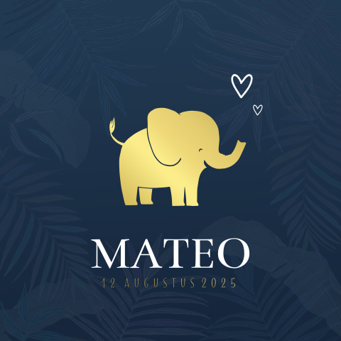 Geboortekaartje goudfolie voor jongetje met gouden kleine olifant