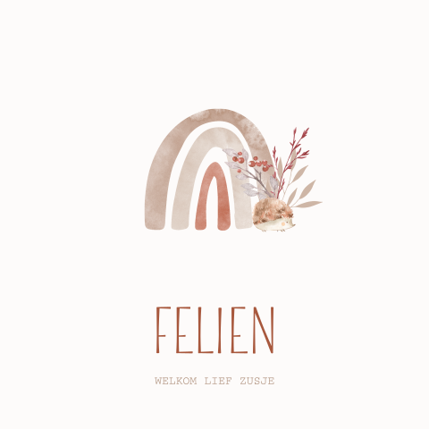 Trendy geboortekaartje voor een dochter met regenboogje en egeltje