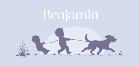 Blauw geboortekaartje met silhouet van broertjes en hond