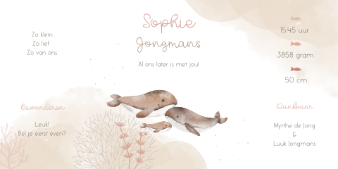 Geboortekaart voor een meisje in theatervouw met walvisgezin