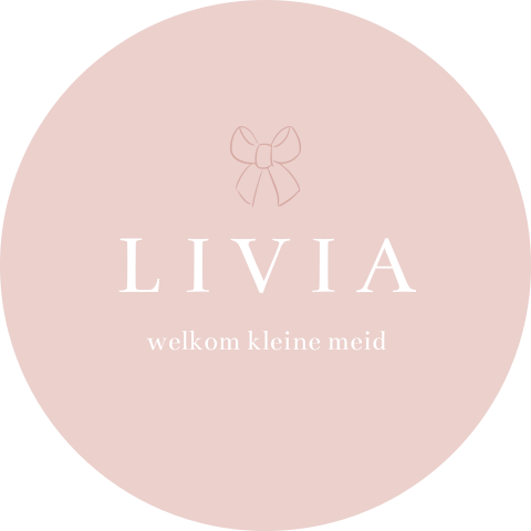 Roze raamsticker met afbeelding van een strikje