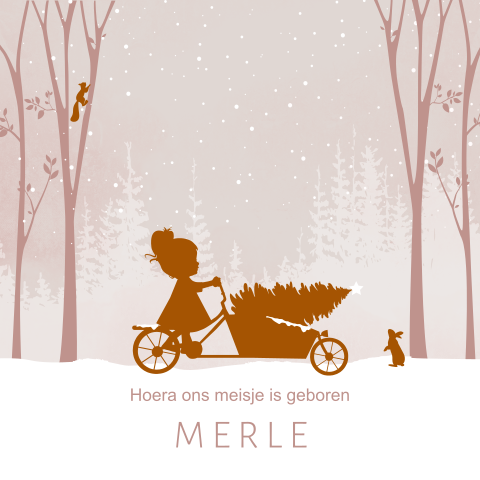 Winters geboortekaartje meisje met bakfiets in de winter