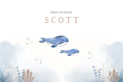 Tuinbord met blauwe watercolour en walvissen