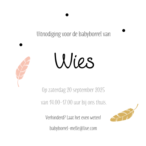 Kraamfeestkaartje met gele en roze veertjes
