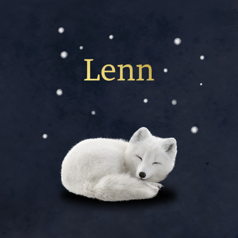 Hip goudfolie geboortekaartje voor jongetje met vos in sneeuw