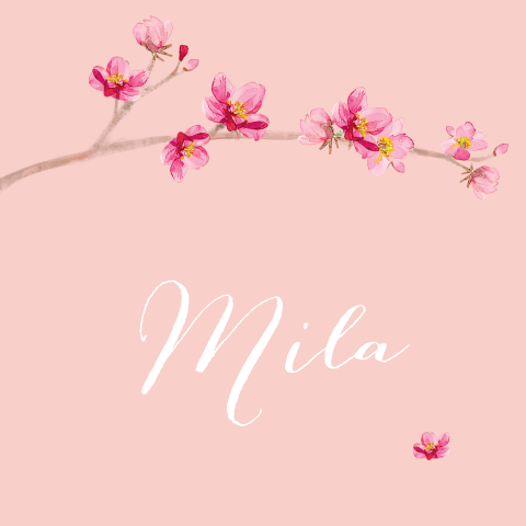 Romantisch geboortekaartje bloemen meisje