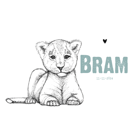 Stoer geboortekaartje met baby leeuwtje voor een jongen