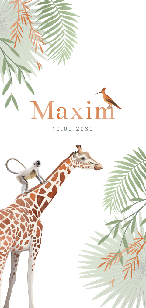 Stoer hoogglans geboortekaartje met giraffe voor een jongen