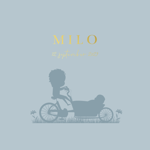 Blauw geboortekaartje broertje met bakfiets en goudfolie