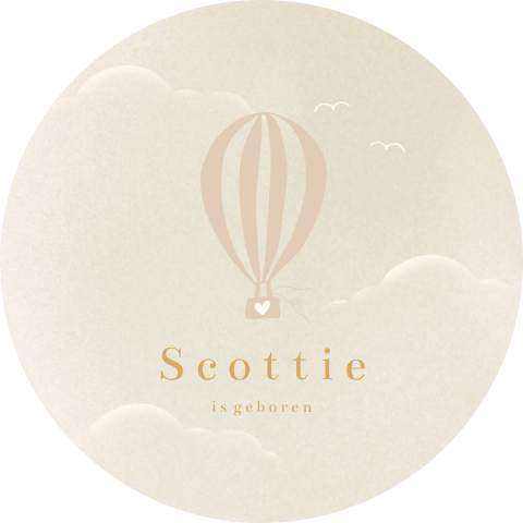 Stijlvolle raamsticker met luchtballon in wolken