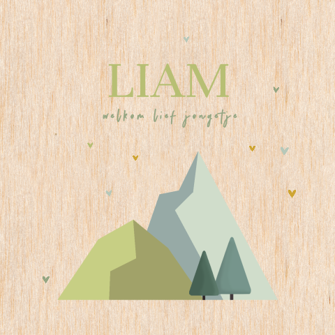 Echt houten geboortekaart voor een jongen met bergen en bomen