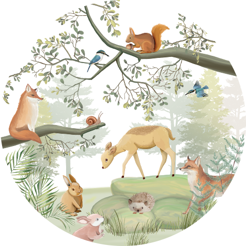 Behangcirkel kinderkamer bosdieren