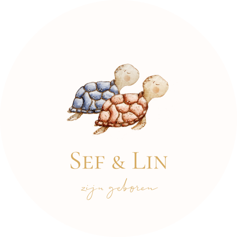 Raamsticker rond met tweeling schildpadden
