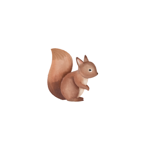 Sluitsticker met eekhoorn