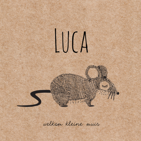 Geboortekaartje met muis