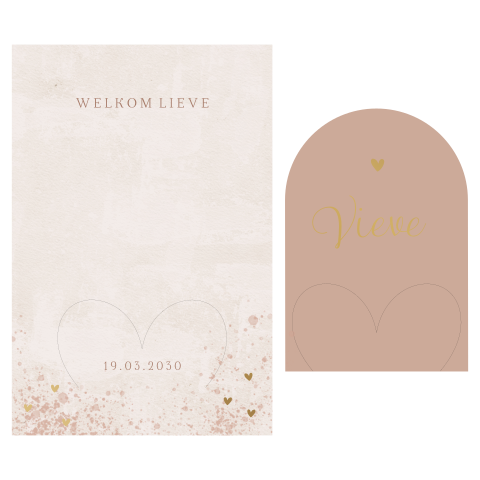 Roze insteek geboortekaartje met matgoudfolie en velvet-look