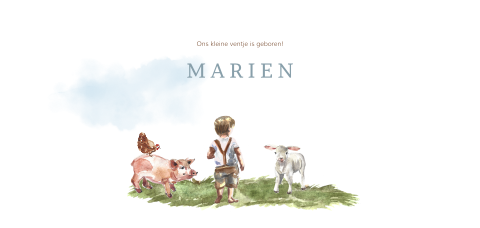Schattig babykaartje met boerderijdieren voor een jongen