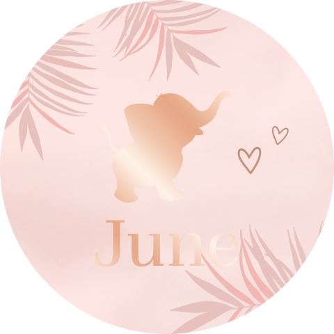 Roségoudfolie naamsticker met olifantje, hartjes en bladeren
