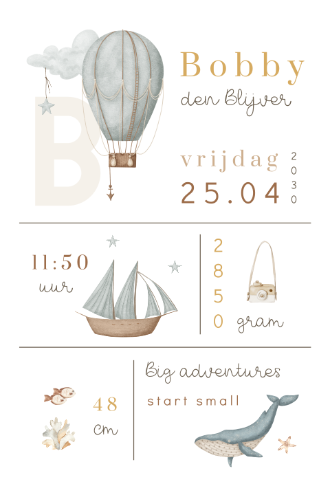 Geboortekaartje met illustraties en geboortegegevens