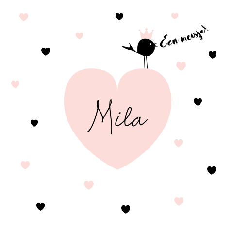 Lief meisjes geboortekaartje met hartjes en vogeltje