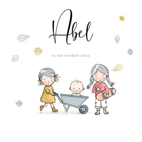 Geboortekaartje met tekening zusjes en baby broertje in kruiwagen