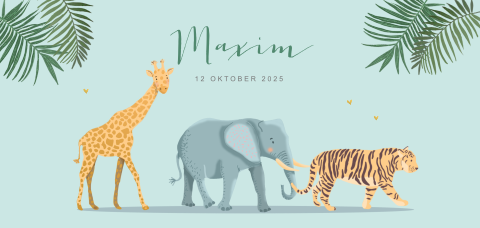 Vrolijk geboortekaartje voor jongen met illustratie van jungle dieren