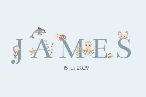 Lichtblauwe raamsticker met geïllustreerde zeedieren