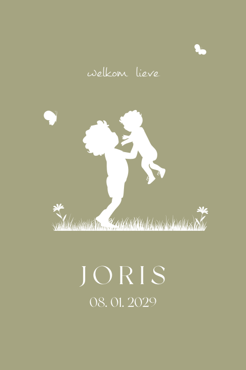 Schattig groen geboortekaartje met silhouet broertjes