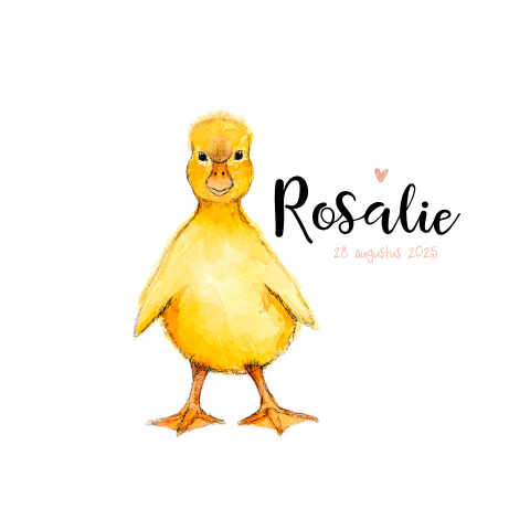 Eenvoudig geboortekaartje voor meisje met tekening baby eendje