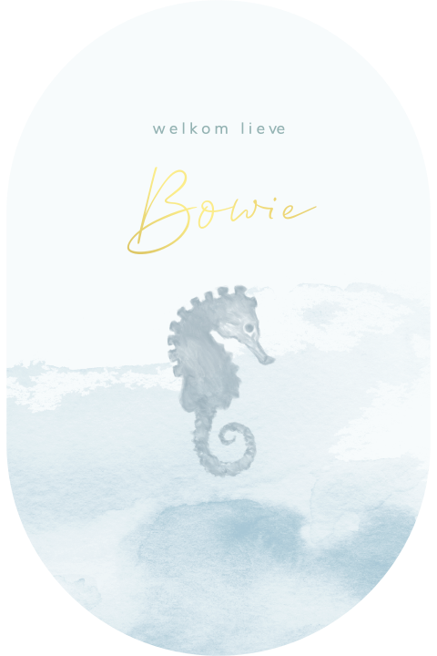 Ovaal geboortekaartje met watercolour, goudfolie en zeepaardje