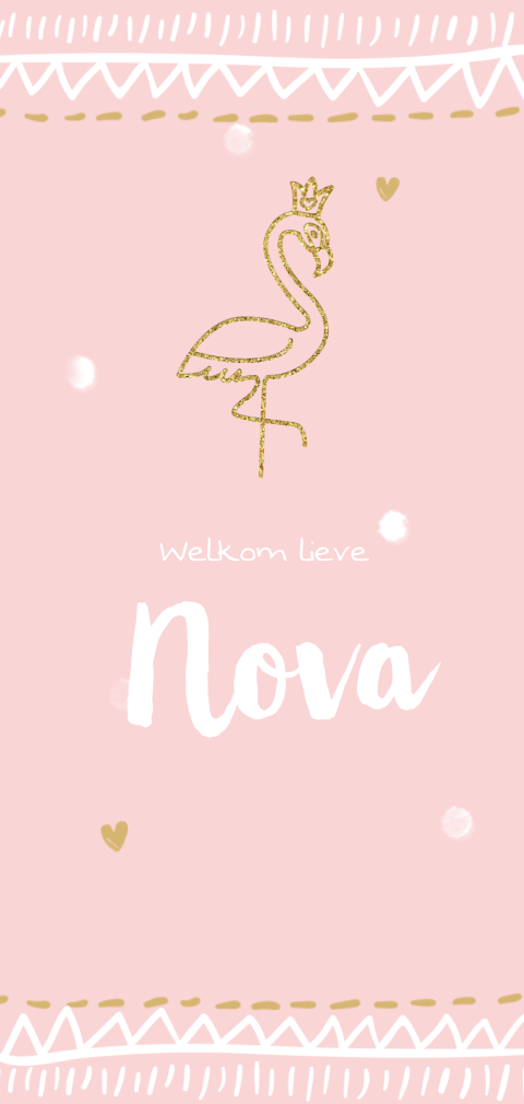 Schattig geboortekaartje met flamingo