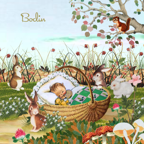 Lief geboortekaartje met baby in mandje in het bos