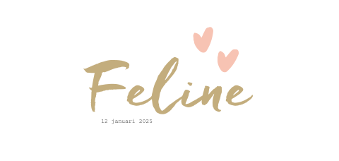 Lief en rustig geboortekaartje voor een meisje