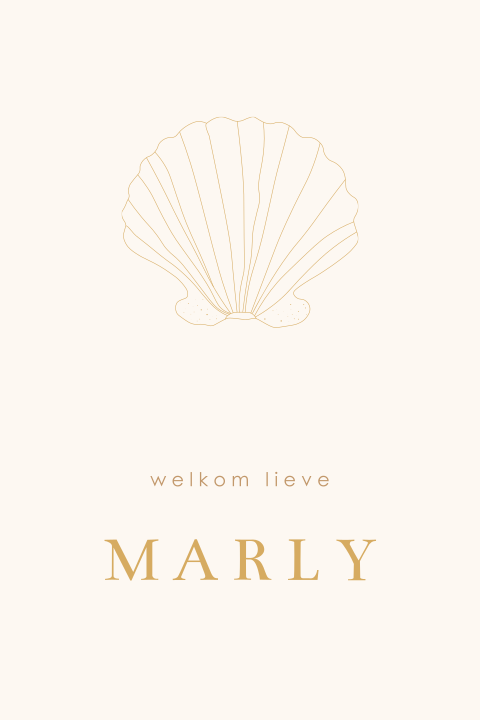 Raamsticker met lijntekening schelp