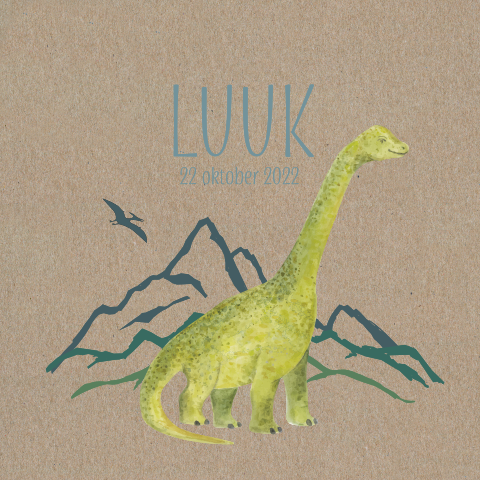 Echt kraft geboortekaartje voor een jongetje met dinosaurus
