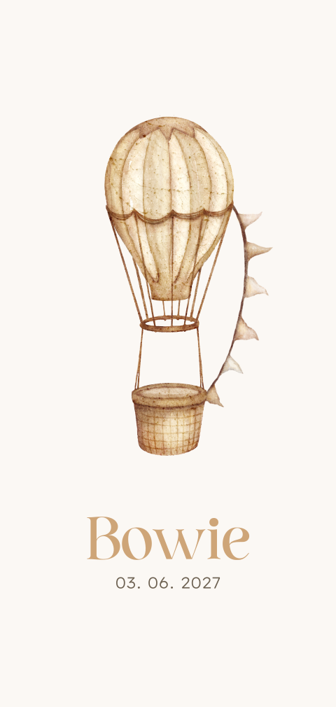 Neutraal geboortekaartje met luchtballon