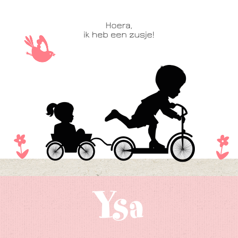 Lief geboortekaartje met silhouet van jongen op step