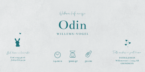 Geboortekaartje theatervouw jongen met ledikant en hoogglans