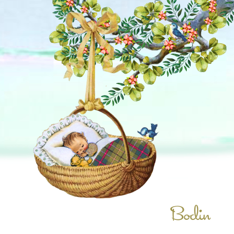 Schattig babykaartje met kindje in mand