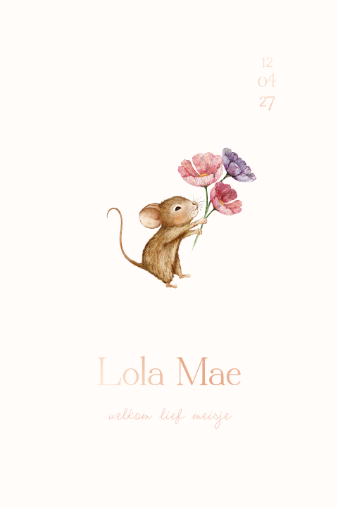 Schattig geboortekaartje meisje met muisje en bloemen