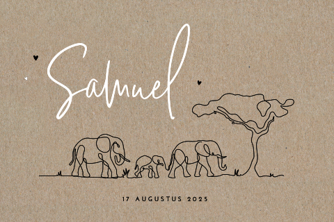 Echt kraft geboortekaartje voor jongen met lijntekening olifantjes