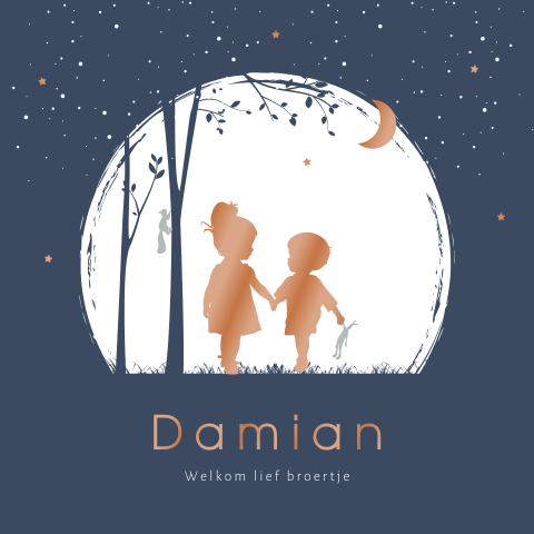 Avontuurlijk geboortekaartje broertje en zus hoogglans silhouet