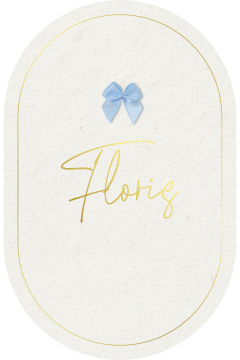 Ovaal geboortekaartje jongen met goudfolie en optioneel écht strikje