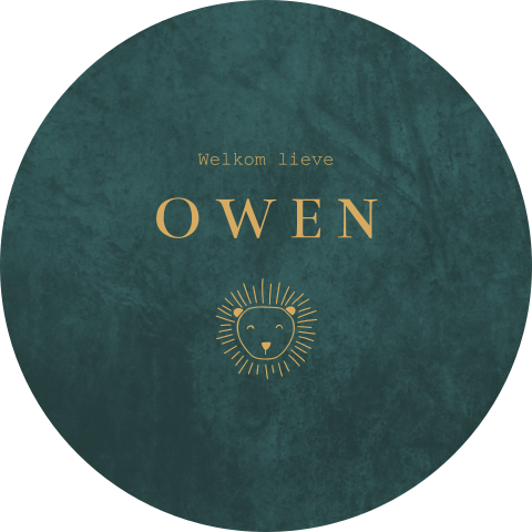 Raamsticker rond groen met leeuwtje