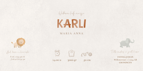 Geboortekaartje theatervouw met jungledieren in cirkel