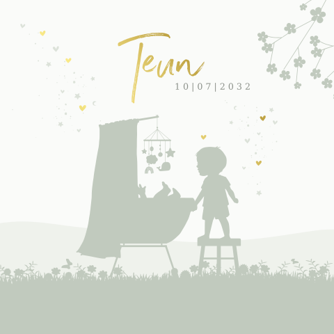 Geboortekaartje jongen met silhouet wiegje en broertje